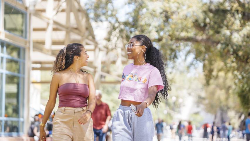 UC Davis