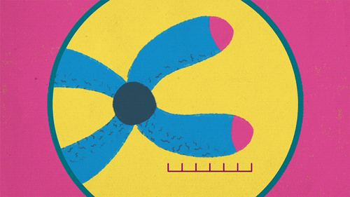 measuring the end of a telomere animation