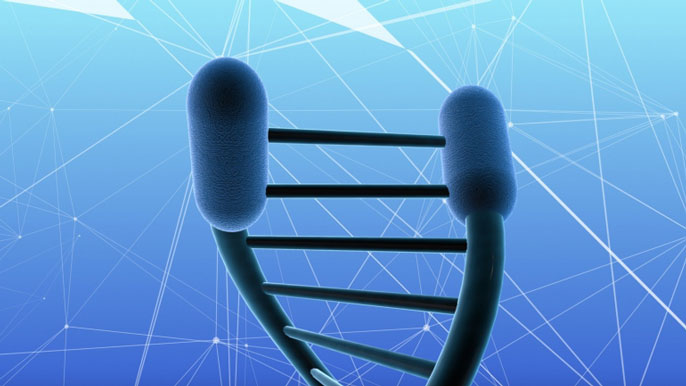 telomeres illustration