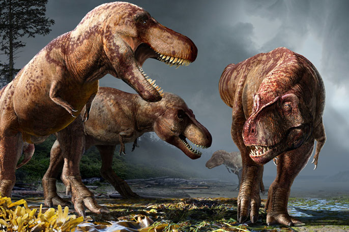 How Many T Rexes Were There Billions University Of California
