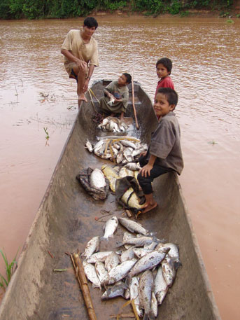 Man and his young sons in a boat with fish