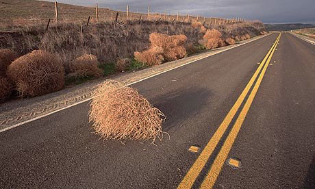 California's Meddlesome Tumbleweeds Could Grow Even More Menacing - Atlas  Obscura