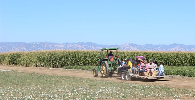 The fellows tour Russell Ranch of the Agriculture Sustainability Institute at UC Davis.