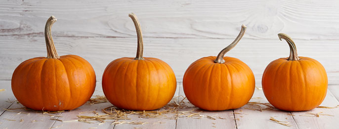 10 things you probably didn't know about pumpkins | University of California