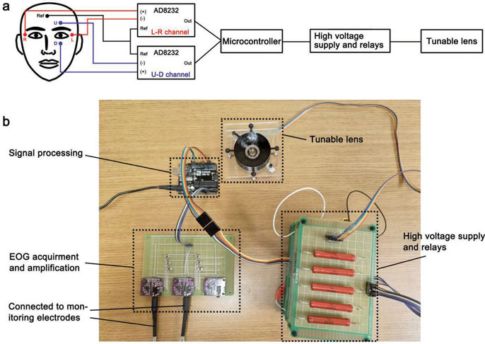 Diagram of how the soft machine works