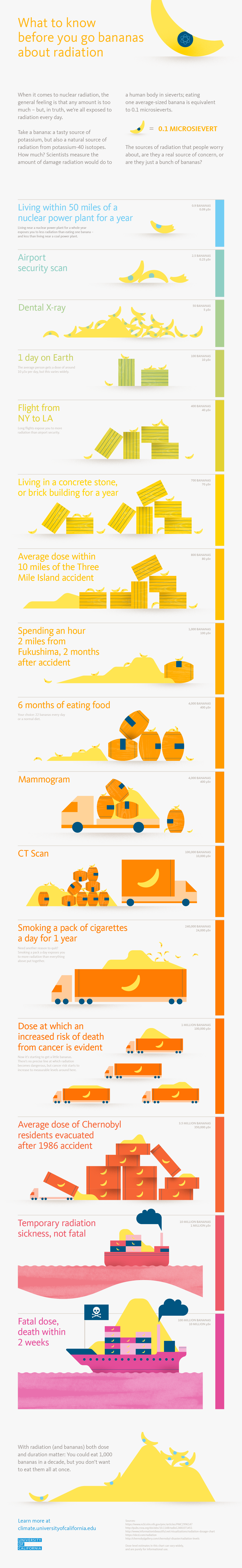 Banana Radiation Chart