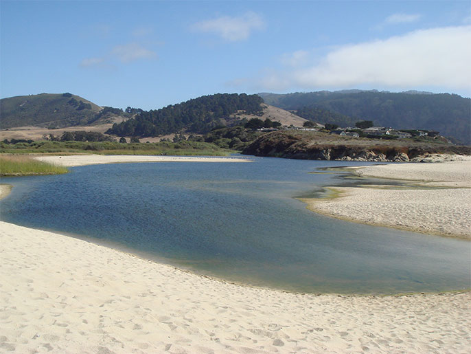 Carmel-by-the-sea marsh