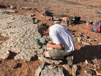 Researcher studying fossils