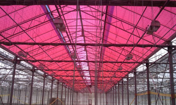 UC Riverside greenhouse UC Riverside greenhouse