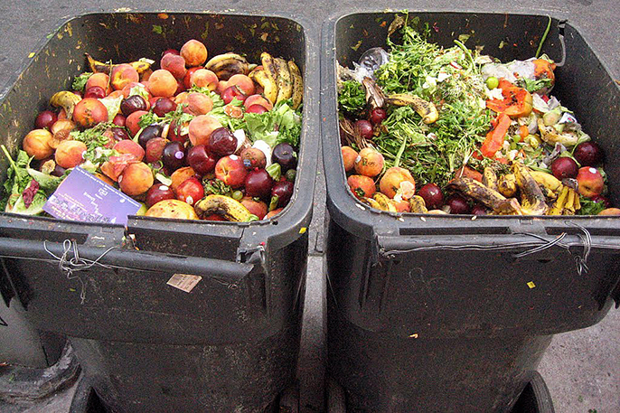 Why Do We Waste So Much Food And Why Does It Matter University Of 