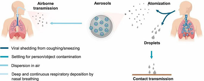 COVID-19 is transmitted via droplets for airborne and contact transmission
