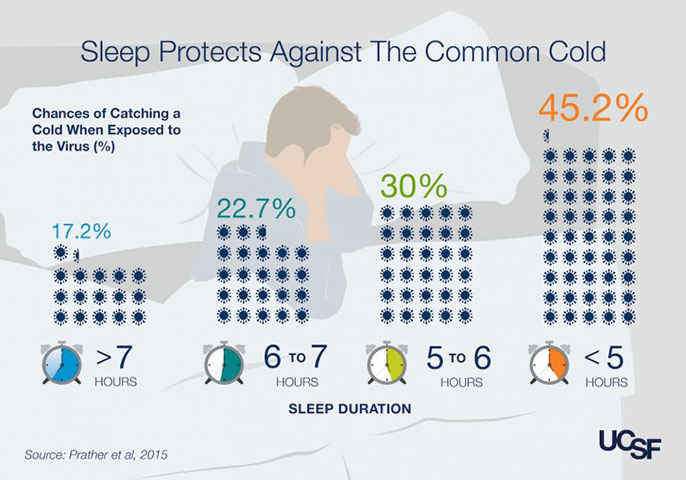 sleep infographic