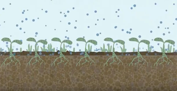 UCTV Climate Solutions
