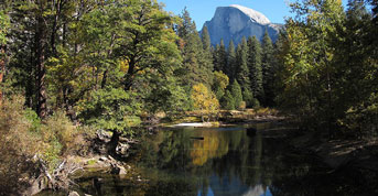 Yosemite National Park