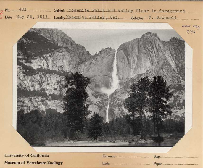 Yosemite Falls, 1911, Joseph Grinnell Yosemite Falls, 1911, Joseph Grinnell