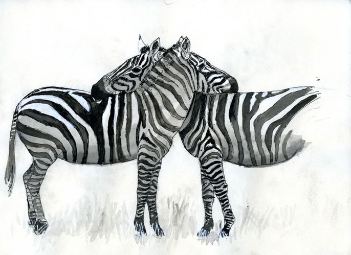 Zebra stripes