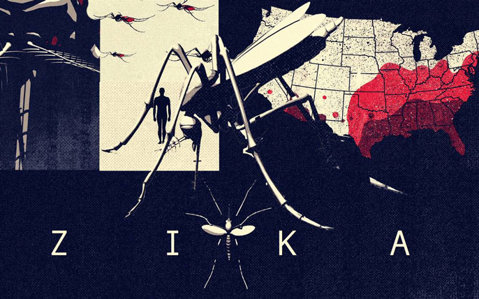 UC zika Sacramento Bee UC zika Sacramento Bee